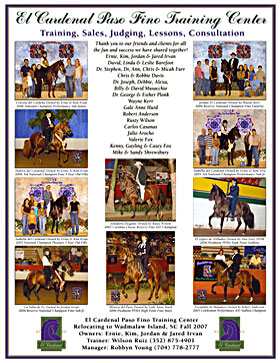 Horse Training Ad and Poster Design